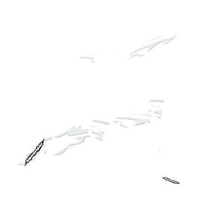 "WHITEOUT" [for E-Ride Pro]
