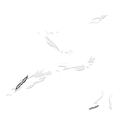 "WHITEOUT" [for Surron Light Bee]